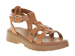 We Do CO45710<br>Camel