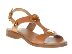 We Do CO45882<br>Camel