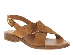 We Do CO45126A<br>Camel