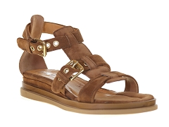 MJUS 14006<br>Camel