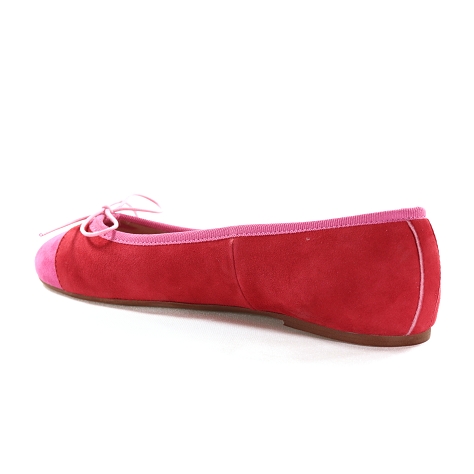 Champ de fleurs sandra611 rouge1126702_4