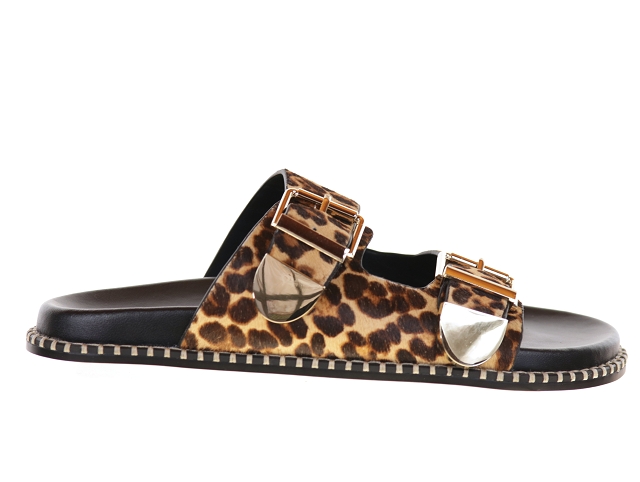 Toral hidra leopard1139701_2