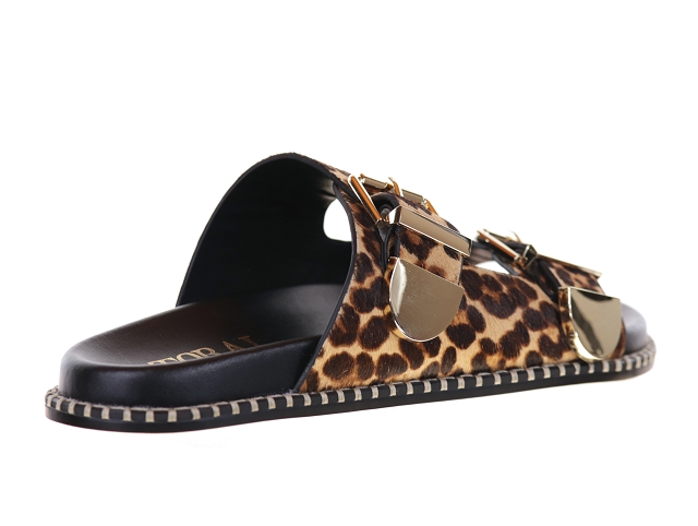 Toral hidra leopard1139701_3