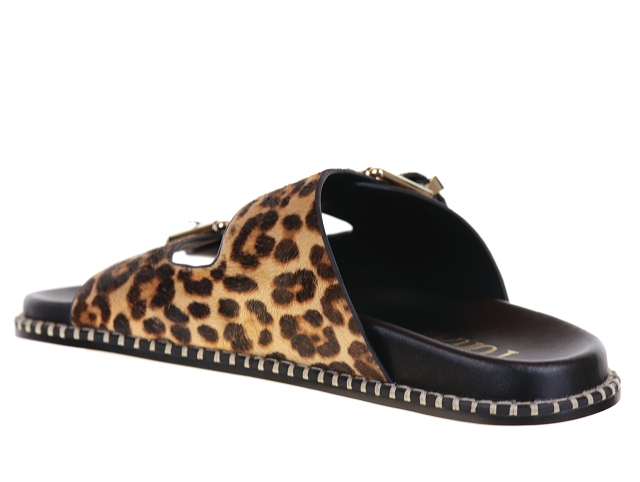 Toral hidra leopard1139701_4