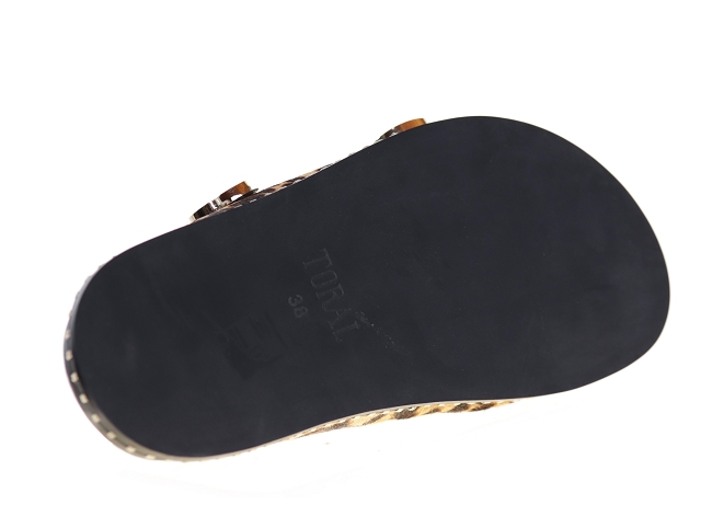 Toral hidra leopard1139701_5