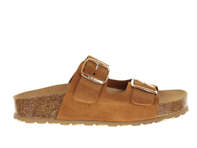 I am 6497s camel3760406_2