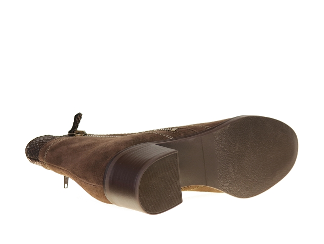 We do co99889 camel3789002_5