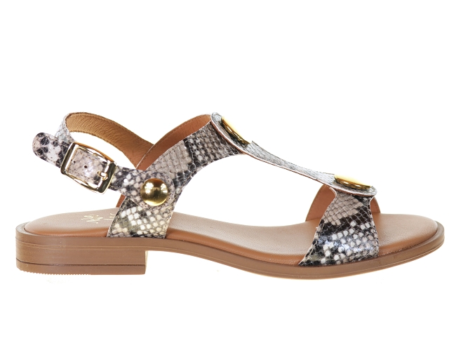 We do co45882a gris3799201_2