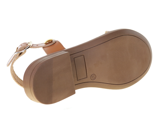 We do co45882 camel3799302_5