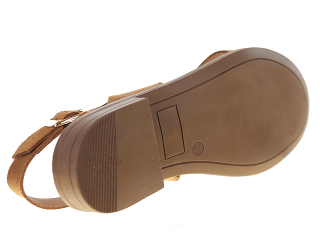 We do co45126a camel3799401_5