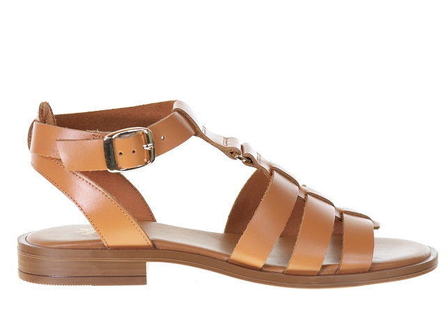 We do co45891a camel3799502_2